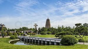 宜宾全国最大绿化树苗批发市场是哪里